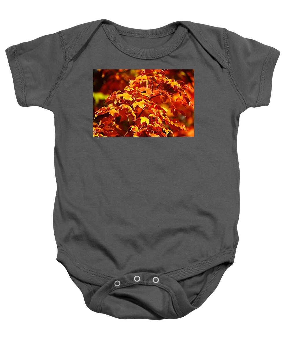 Autumn Baby Onesie featuring the photograph Fall Foliage Colors 14 by Metro DC Photography