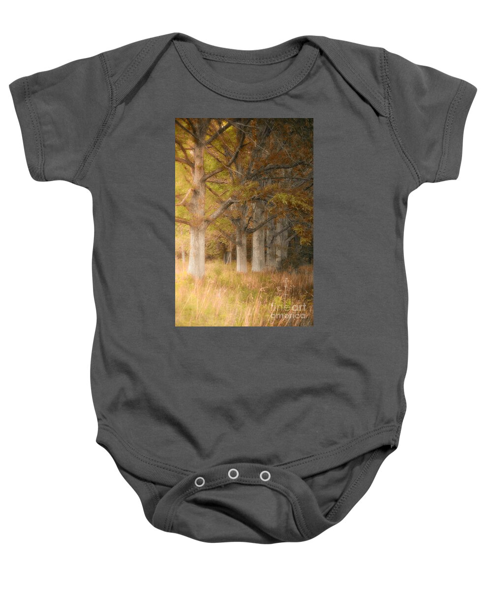 Fall Autumn Colors Baby Onesie featuring the photograph Fall Tree Colors The Pines by Peggy Franz
