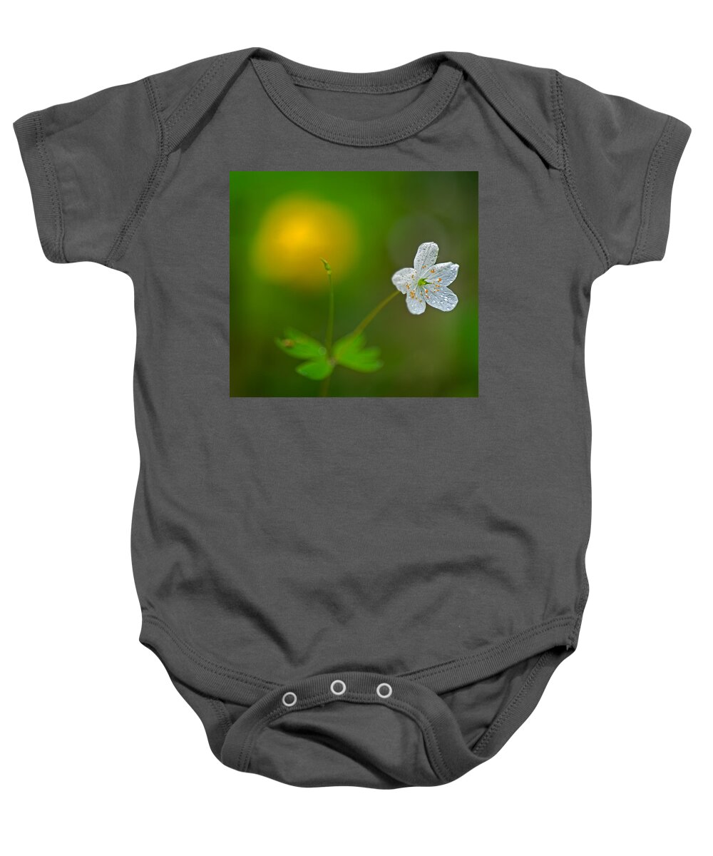 2011 Baby Onesie featuring the photograph False Rue Anemone by Robert Charity