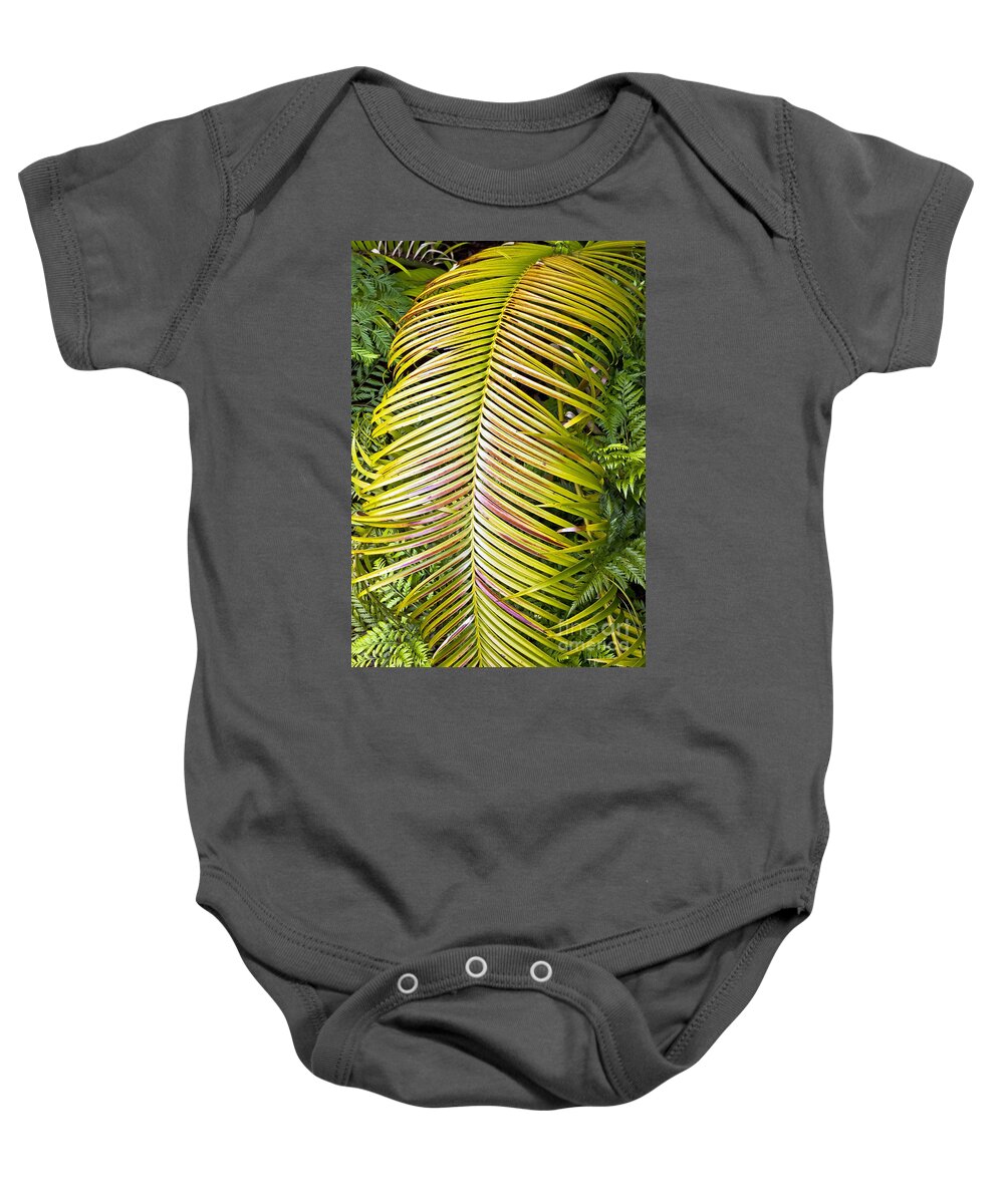 Kate Brown Baby Onesie featuring the photograph Ferns by Kate Brown