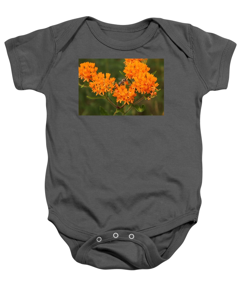 Bee Baby Onesie featuring the photograph Ff-16 by David Yocum