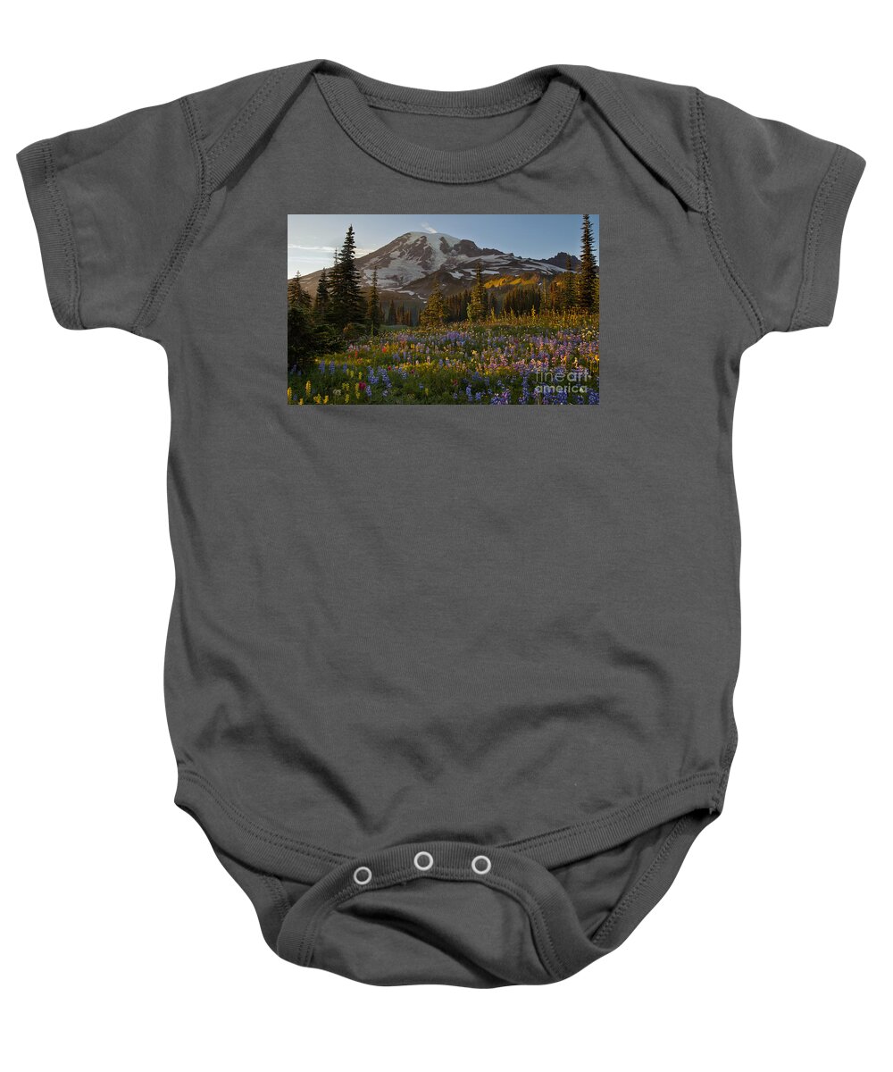  Mount Rainier Baby Onesie featuring the photograph Field of Dreams by Mike Reid