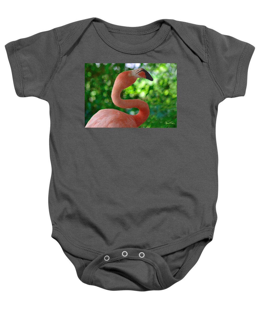 florida Classic Baby Onesie featuring the photograph Florida Classic by Susan Molnar
