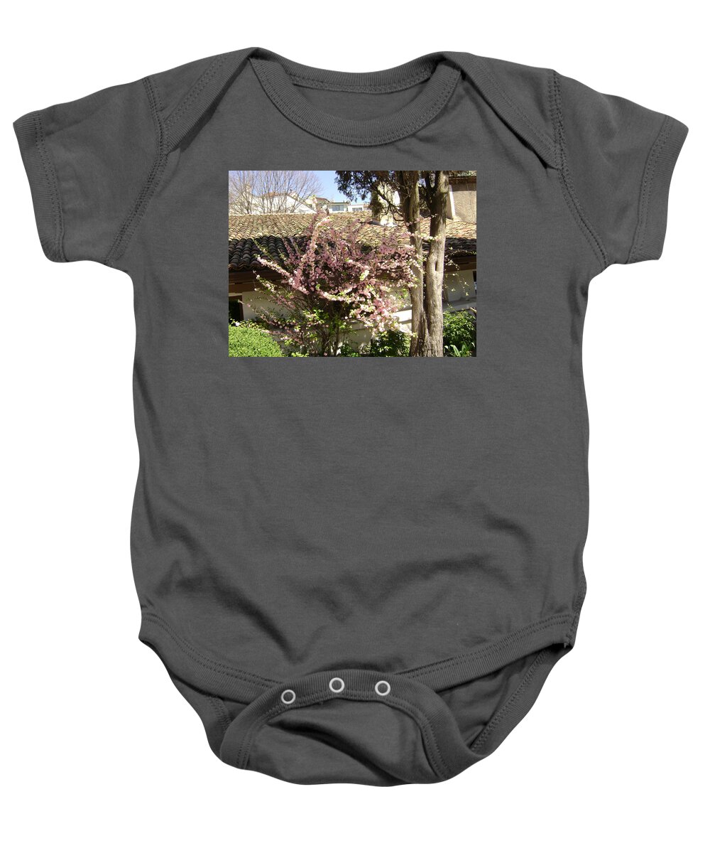 Flowers Baby Onesie featuring the photograph Flowering Tree by Moshe Harboun