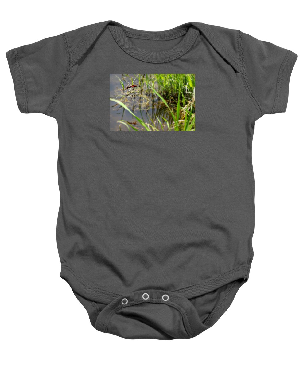Dragon Baby Onesie featuring the photograph Fly United 2 by Reid Callaway
