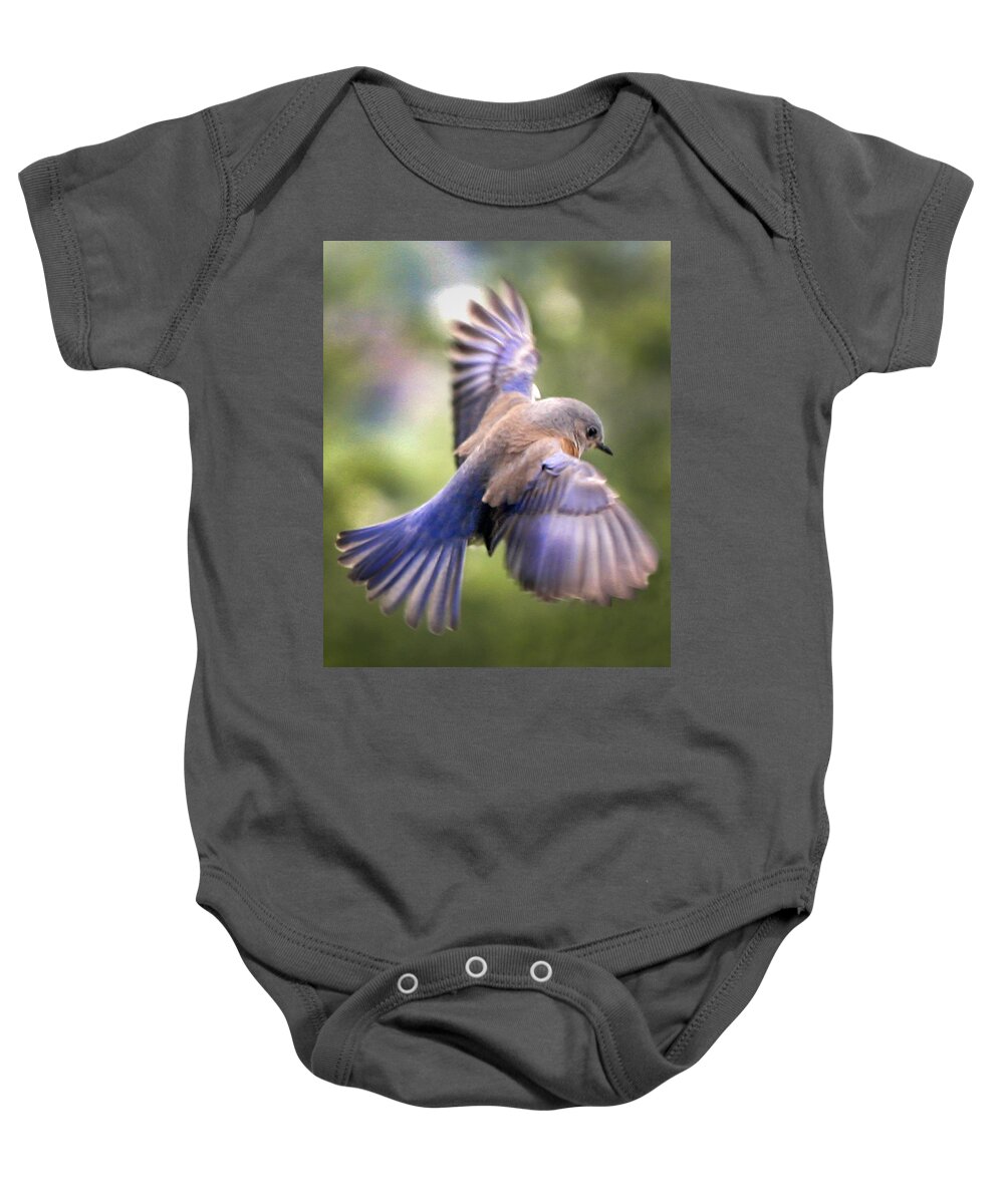 Animals Baby Onesie featuring the photograph Flying bluebird by Jean Noren