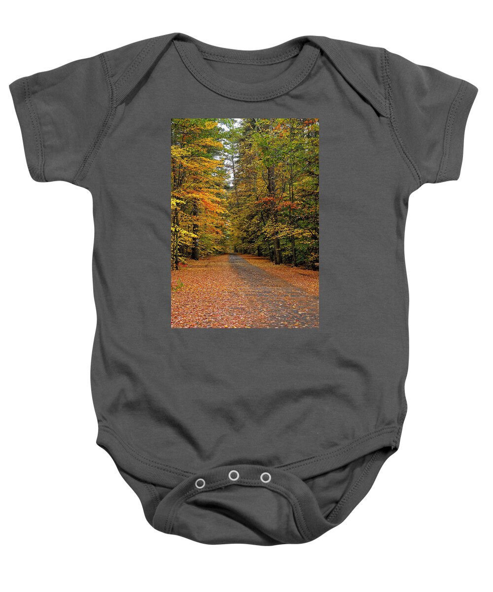 Fall Foliage Baby Onesie featuring the photograph Foliage Road by Liz Mackney