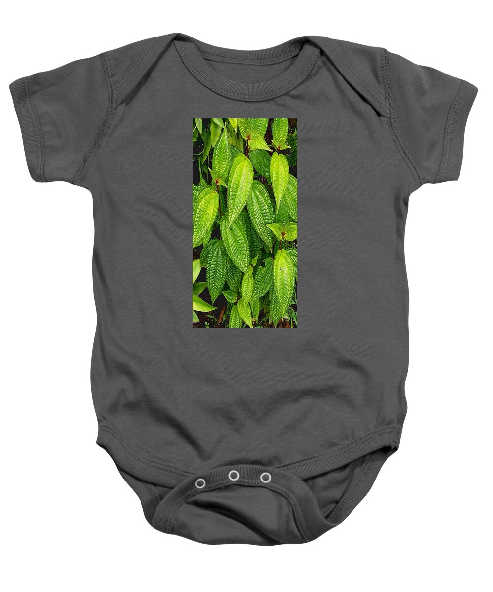 Photography Baby Onesie featuring the digital art Forever Green by David Hansen