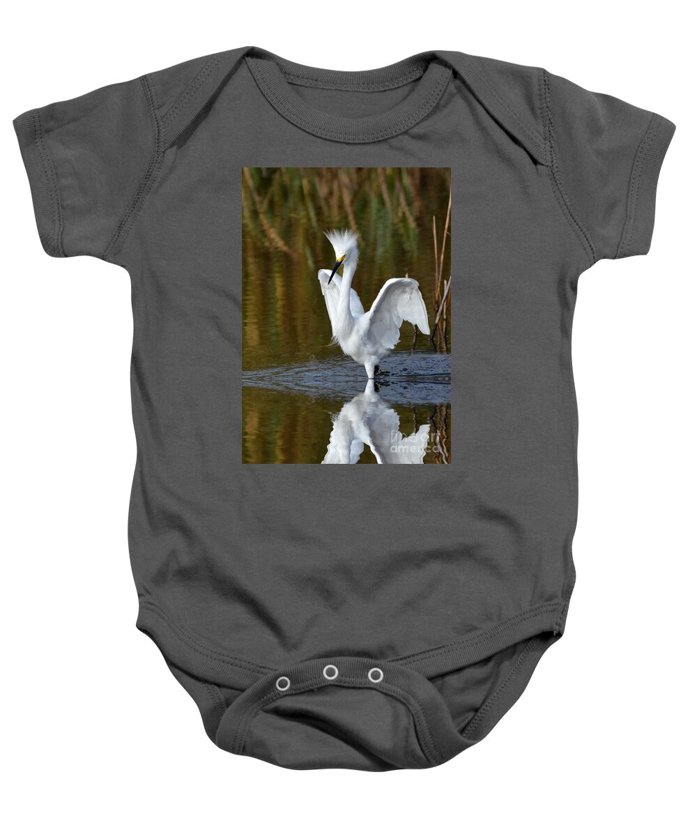 Egrets Baby Onesie featuring the photograph Frazzled by Kathy Baccari