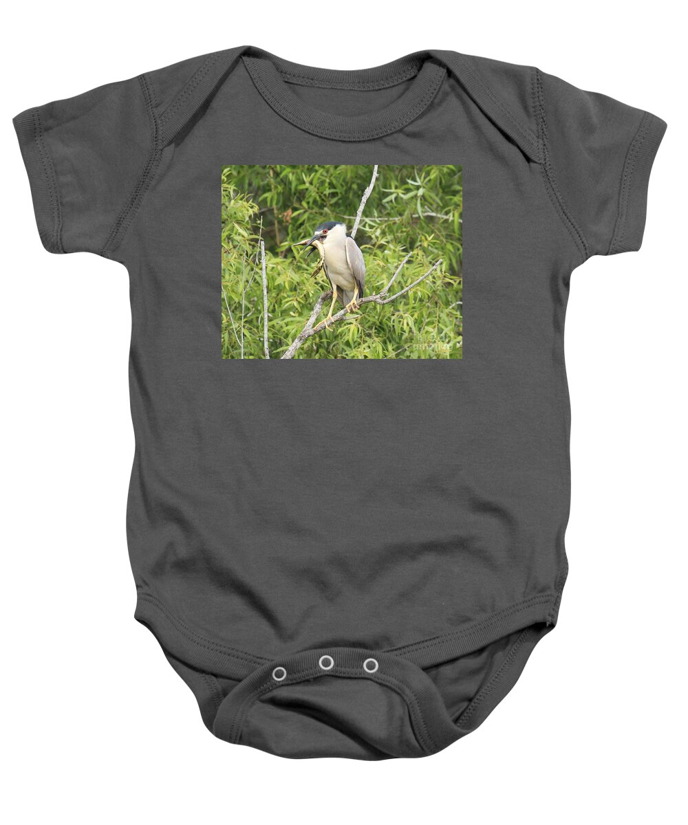 Black Crowned Night Heron Baby Onesie featuring the photograph Fresh Fish Snack by Adam Jewell