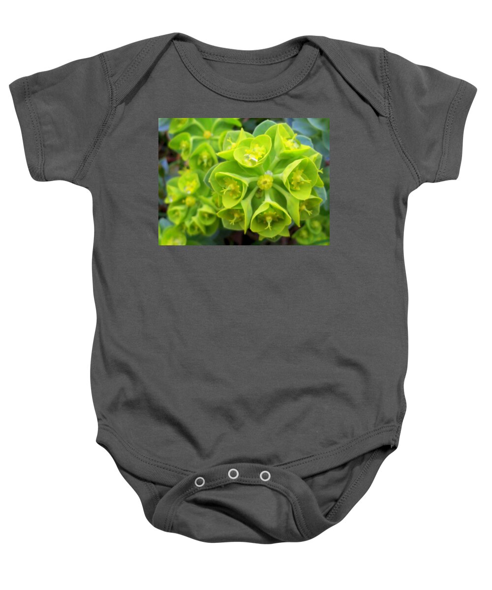 Succulent Plants Baby Onesie featuring the photograph Fresh green succulents by Lingfai Leung