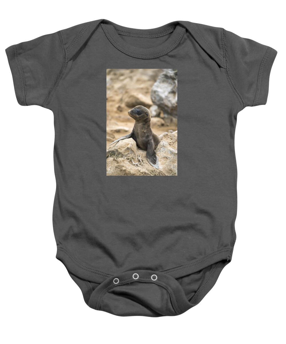 Tui De Roy Baby Onesie featuring the photograph Galapagos Sea Lion Pup Champion Islet by Tui De Roy