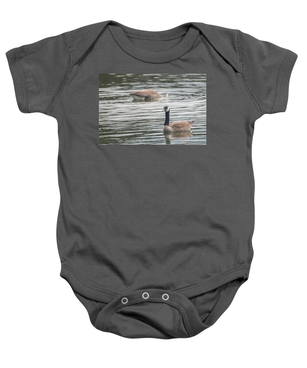 Buffalo Baby Onesie featuring the photograph Geese by Guy Whiteley