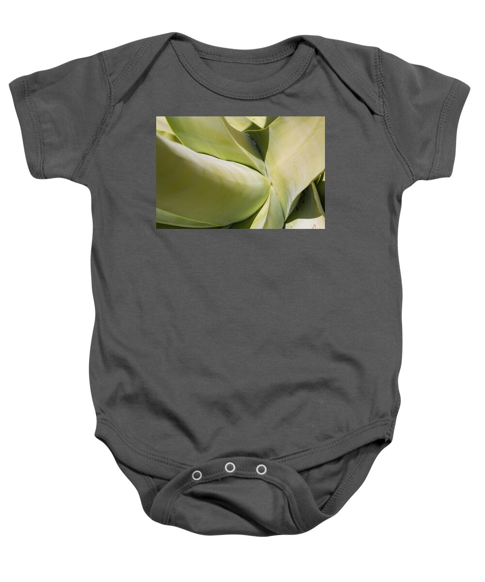 Agave Baby Onesie featuring the photograph Giant Agave Abstract 9 by Scott Campbell