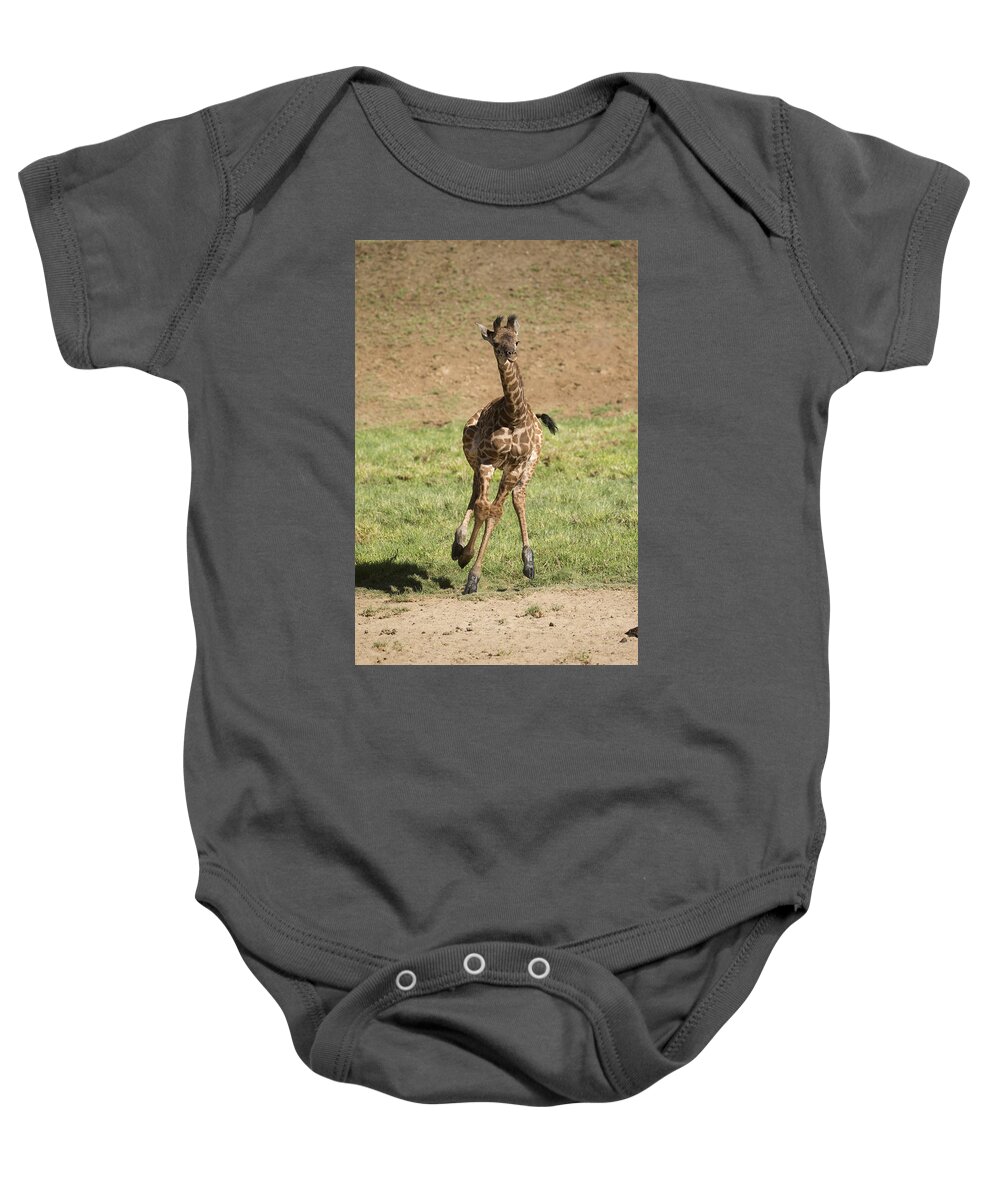 San Diego Zoo Baby Onesie featuring the photograph Giraffe Calf Running by San Diego Zoo