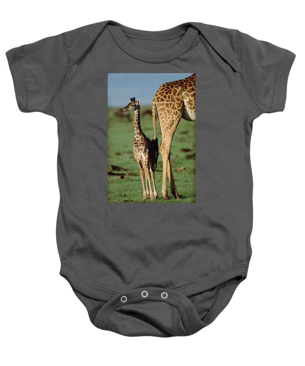 Mp Baby Onesie featuring the photograph Giraffe Mother with Young by Tim Fitzharris