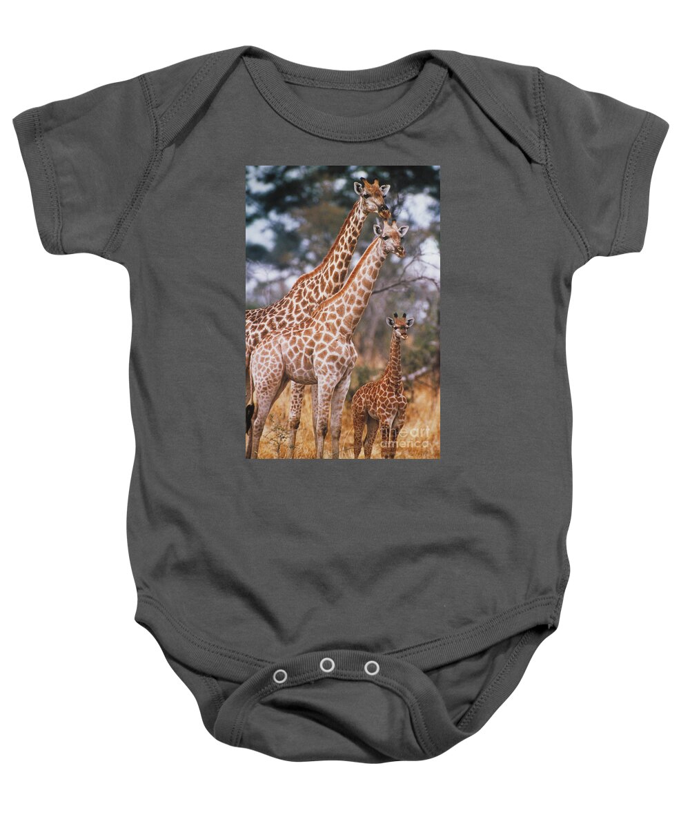 Vertical Baby Onesie featuring the photograph Giraffes by Gregory G. Dimijian