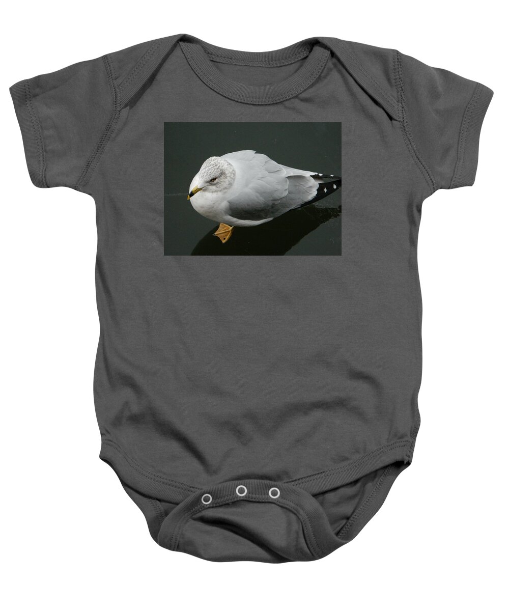 Golden Eye View Baby Onesie featuring the photograph Golden Eye View by Emmy Vickers