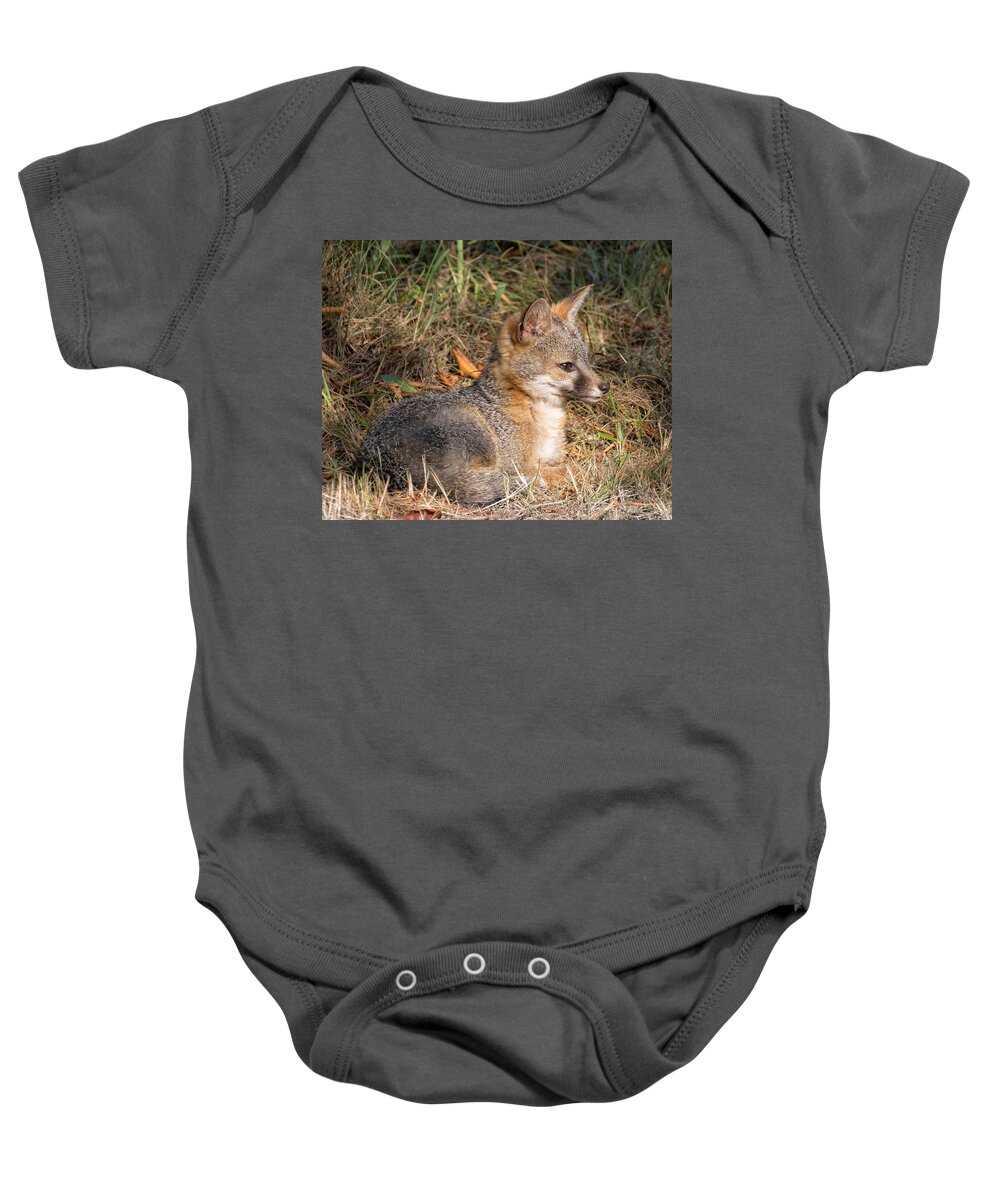 Foxes Baby Onesie featuring the photograph Gray Fox Kit by Kathleen Bishop