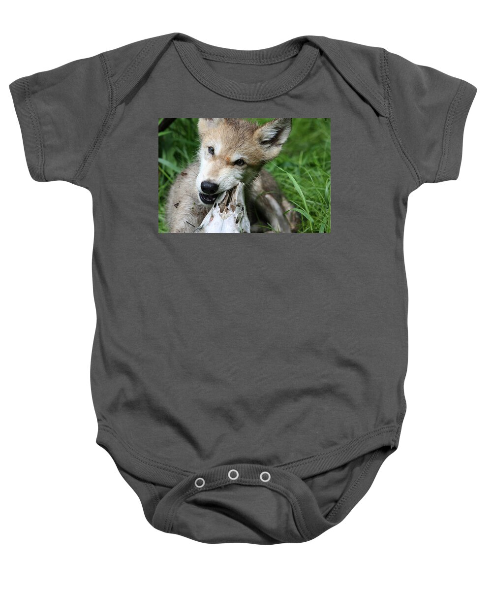Wolf Baby Onesie featuring the photograph Gray Wolf Pup by Amanda Stadther