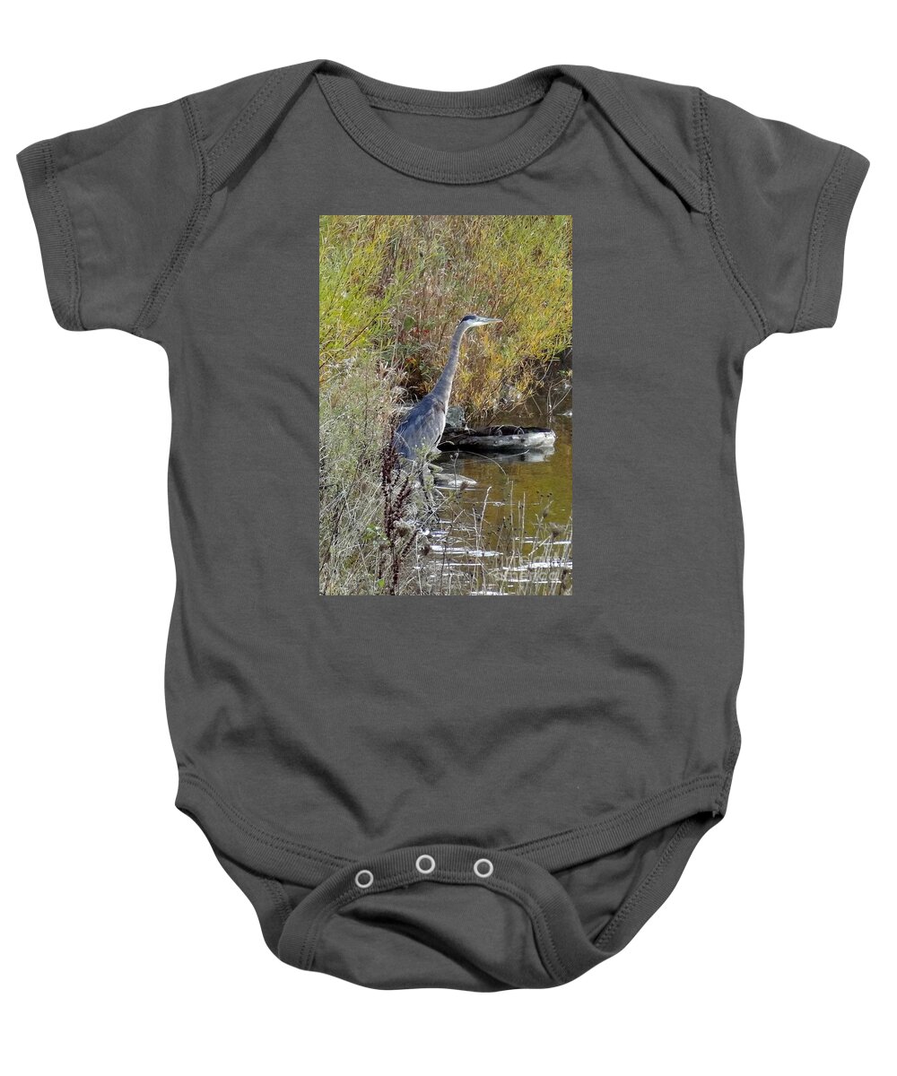 Great Blue Heron Baby Onesie featuring the photograph Great Blue Heron - Juvenile by Laurel Best