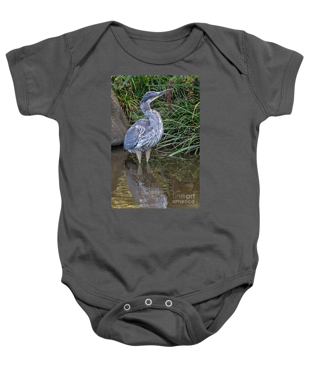 Ardea Herodias Baby Onesie featuring the photograph Great Blue Heron by Kate Brown