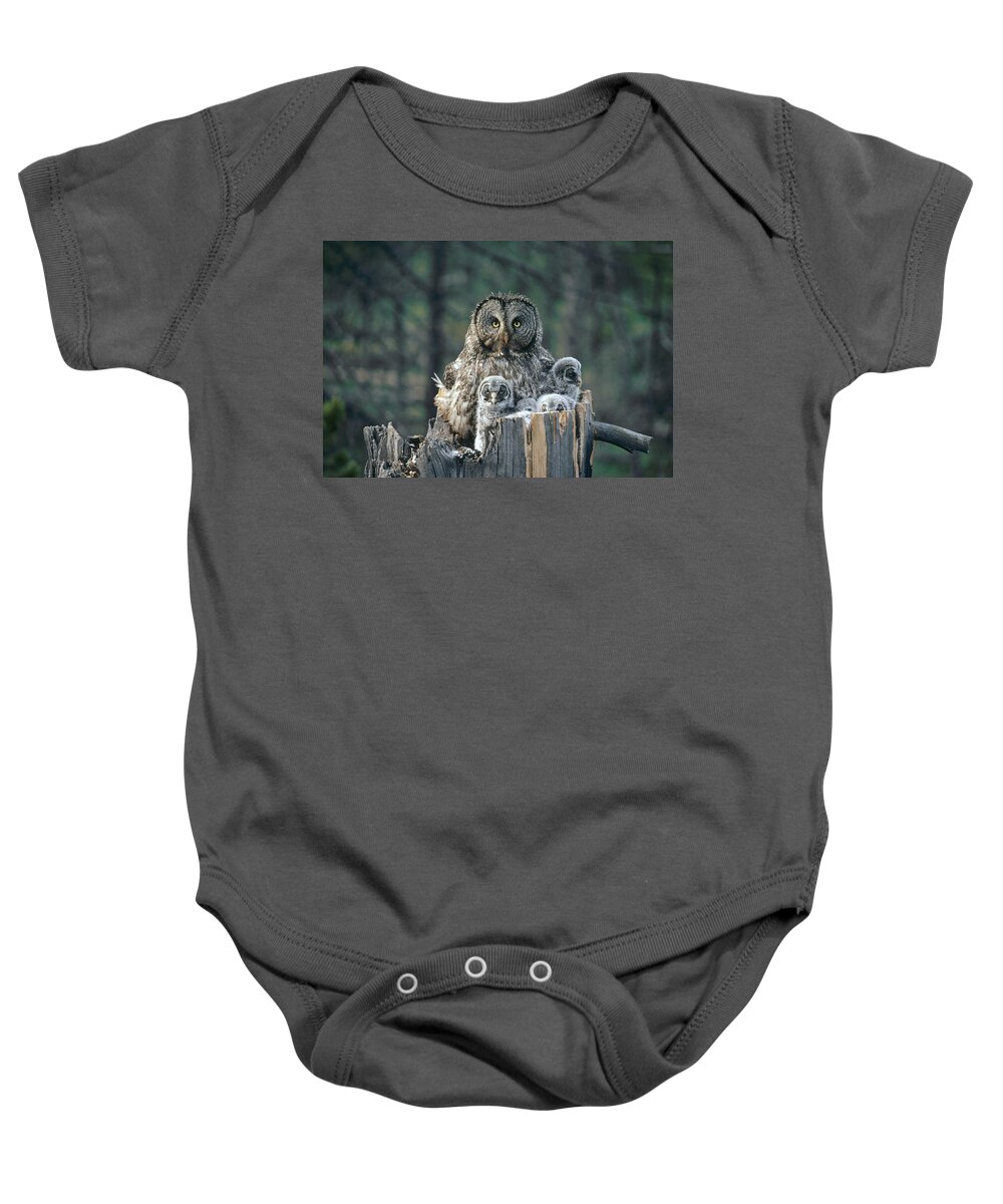 Feb0514 Baby Onesie featuring the photograph Great Gray Owl With Owlets In Nest by Michael Quinton
