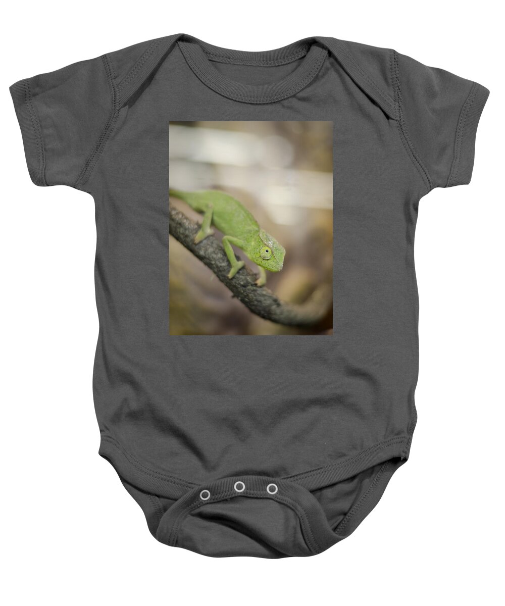 Chameleon Baby Onesie featuring the photograph Green Chameleon by Heather Applegate