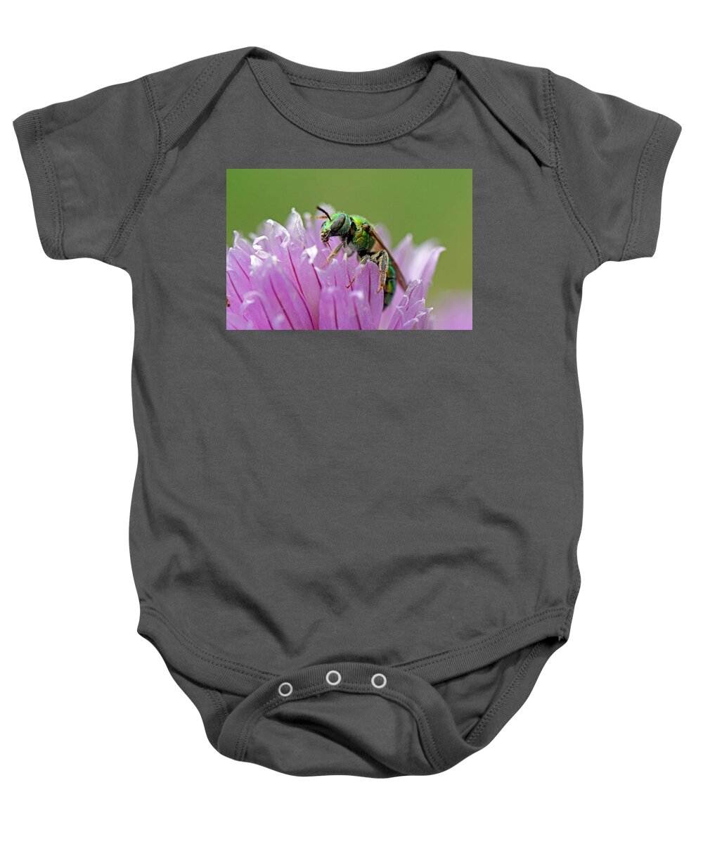 Insects Baby Onesie featuring the photograph Green Envy by Jennifer Robin