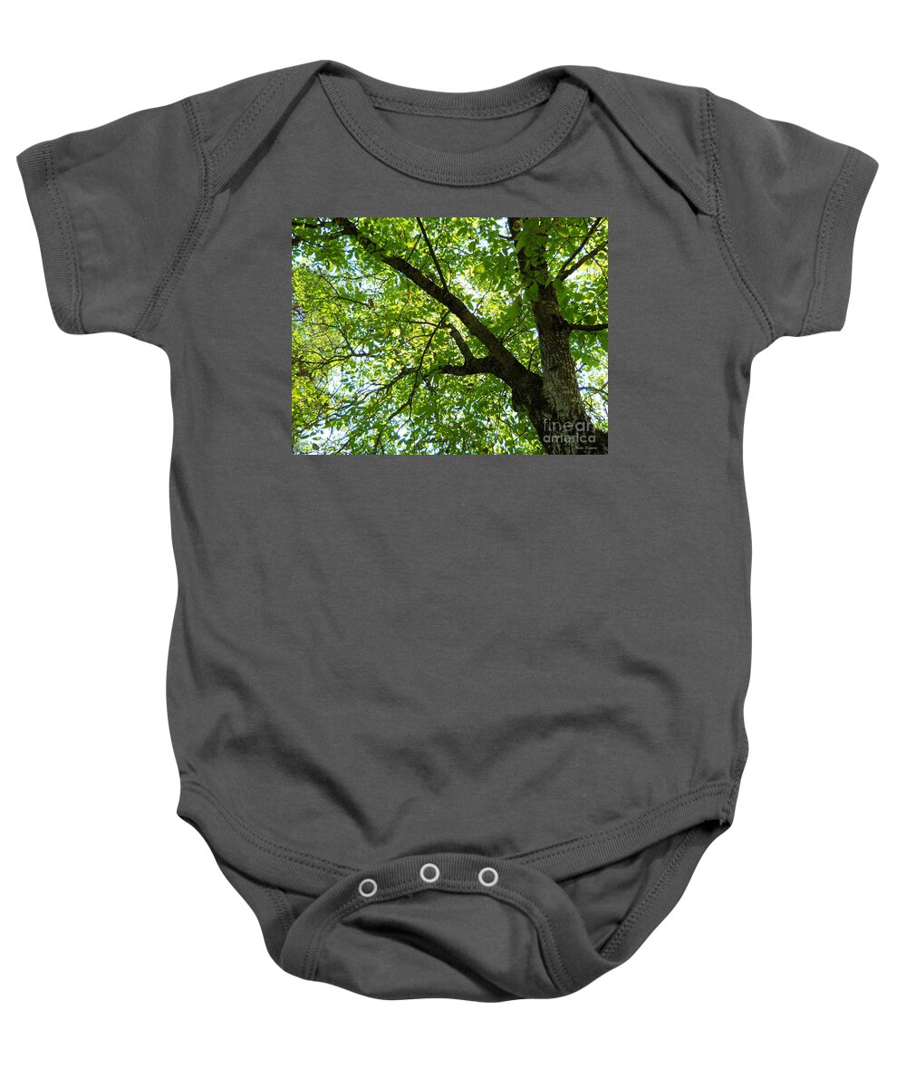 Green Baby Onesie featuring the photograph Green by Ramona Matei