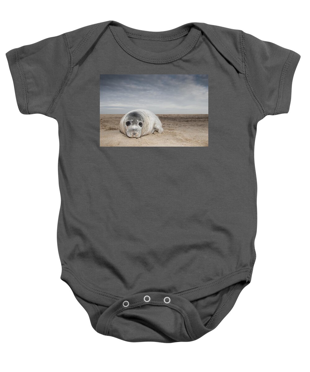 Kyle Moore Baby Onesie featuring the photograph Grey Seal On Beach Norfolk England by Kyle Moore