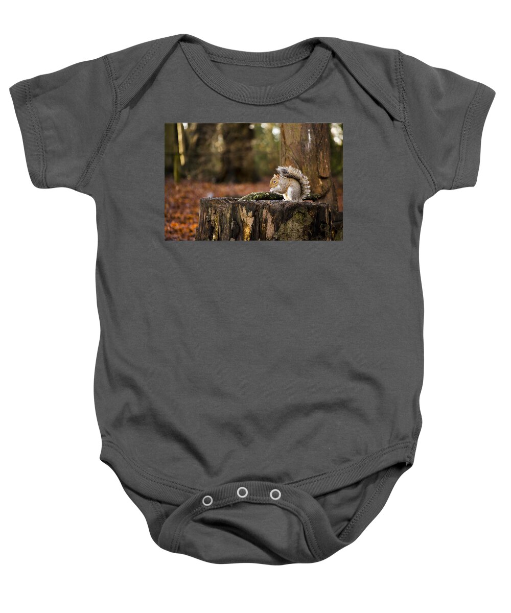 Squirrel Baby Onesie featuring the photograph Grey Squirrel on a Stump by Spikey Mouse Photography