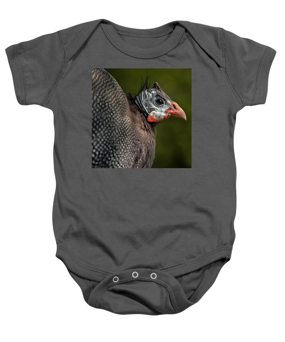 Guineafowl Baby Onesie featuring the photograph Guineafowl by Nigel R Bell