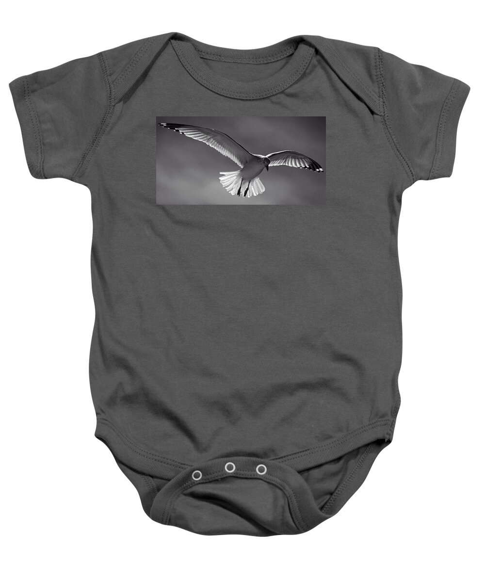 B&w Photography Baby Onesie featuring the photograph Gull by Fred Hahn