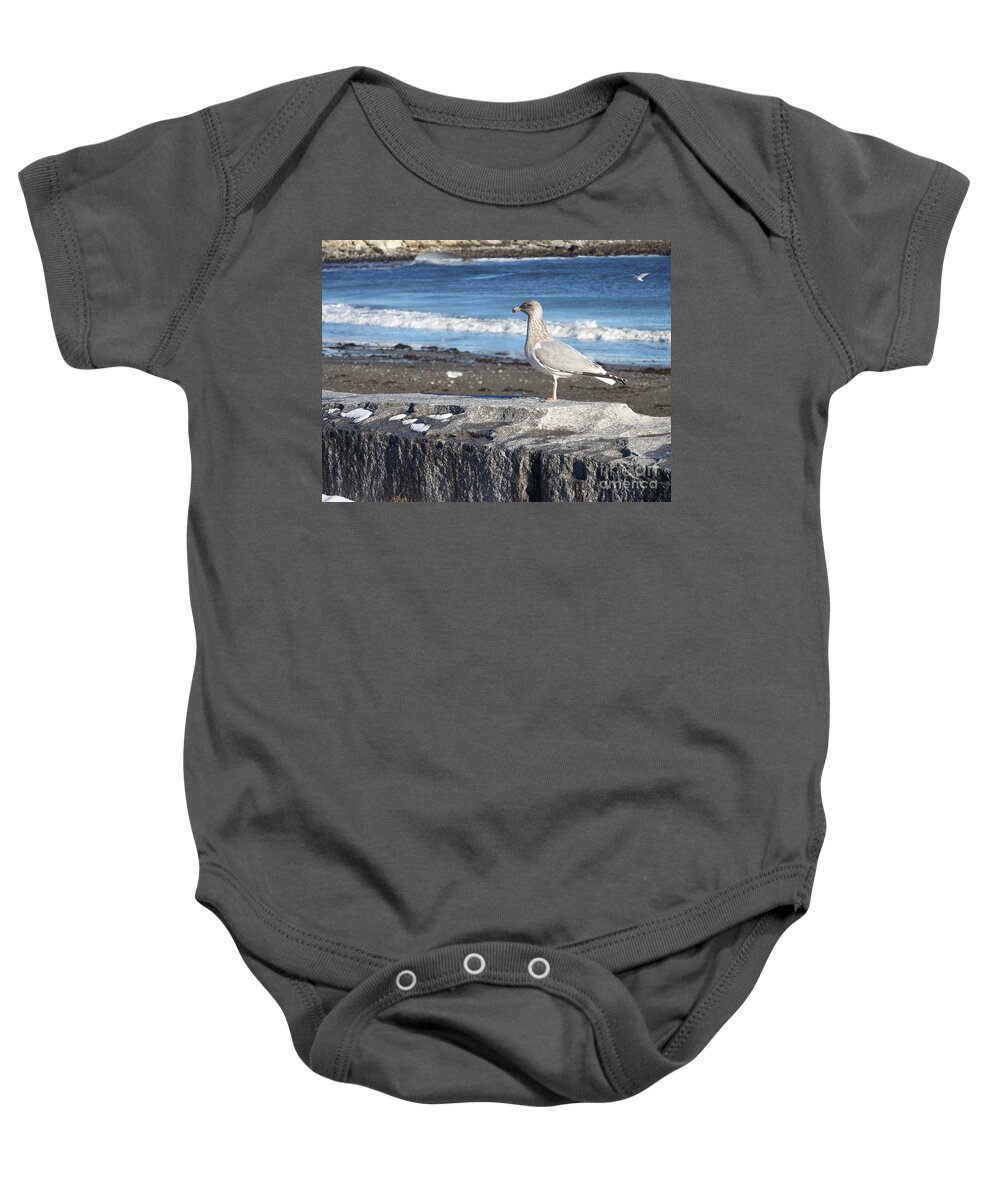 Fine Art Baby Onesie featuring the photograph Granite State Seagull by Eunice Miller