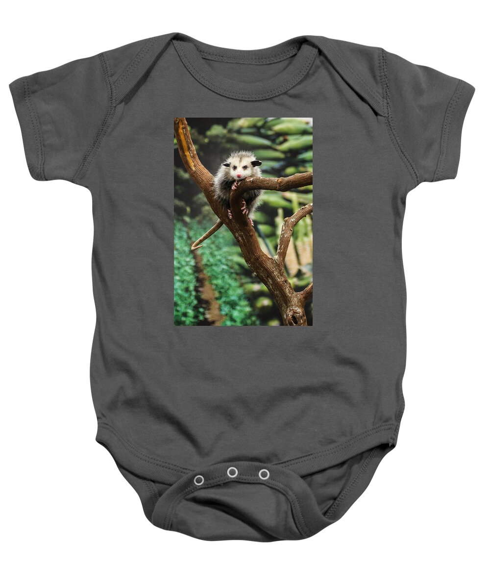Opossum Baby Onesie featuring the photograph Hang In There Baby by John Haldane