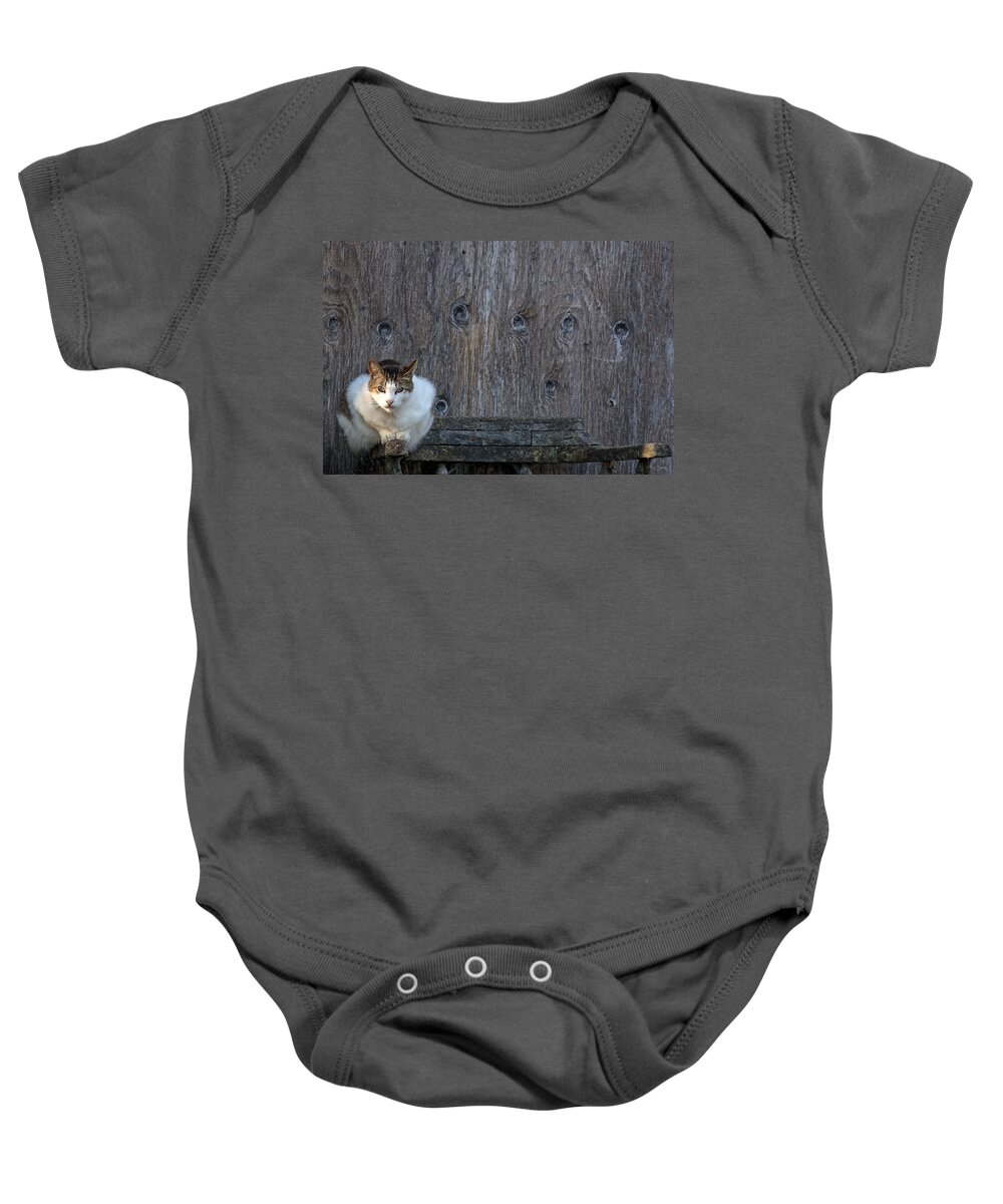 Harlequin Baby Onesie featuring the photograph Harlequin Rustic by Chriss Pagani