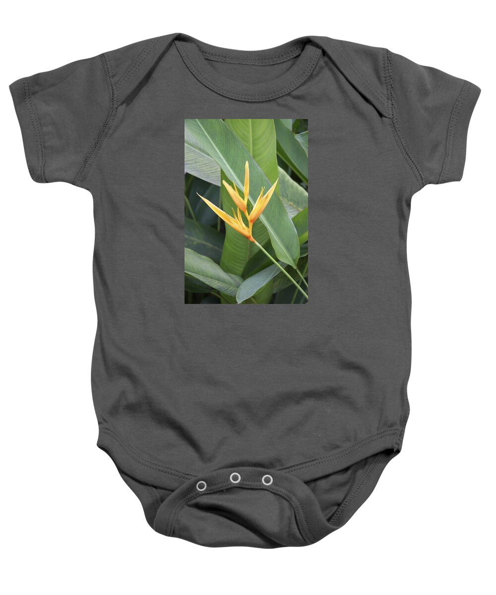 Flowers Baby Onesie featuring the photograph Heliconia by Andre Aleksis