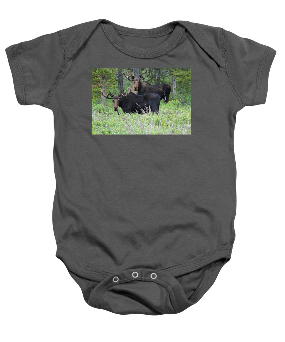 Bull Baby Onesie featuring the photograph Here's Looking At You by Shane Bechler