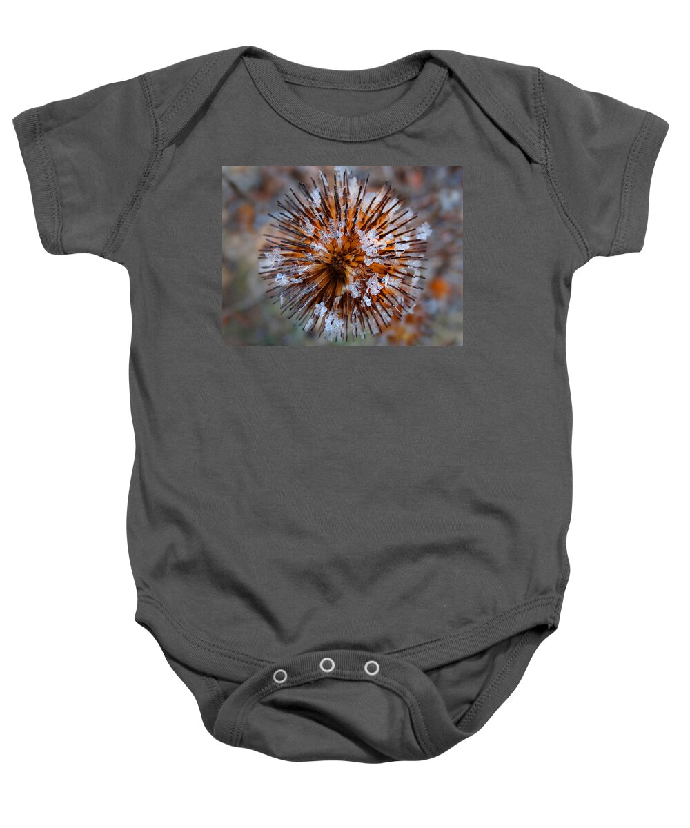 Hoar Frost Baby Onesie featuring the photograph Hoar Frost on Spiked Seed Head by David T Wilkinson
