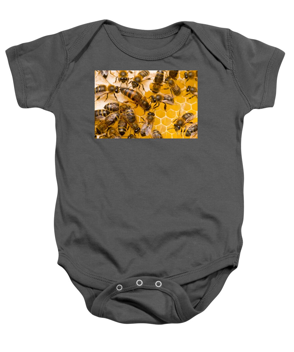 Honey Bees Baby Onesie featuring the photograph Honeybee Workers And Queen by Mark Bowler