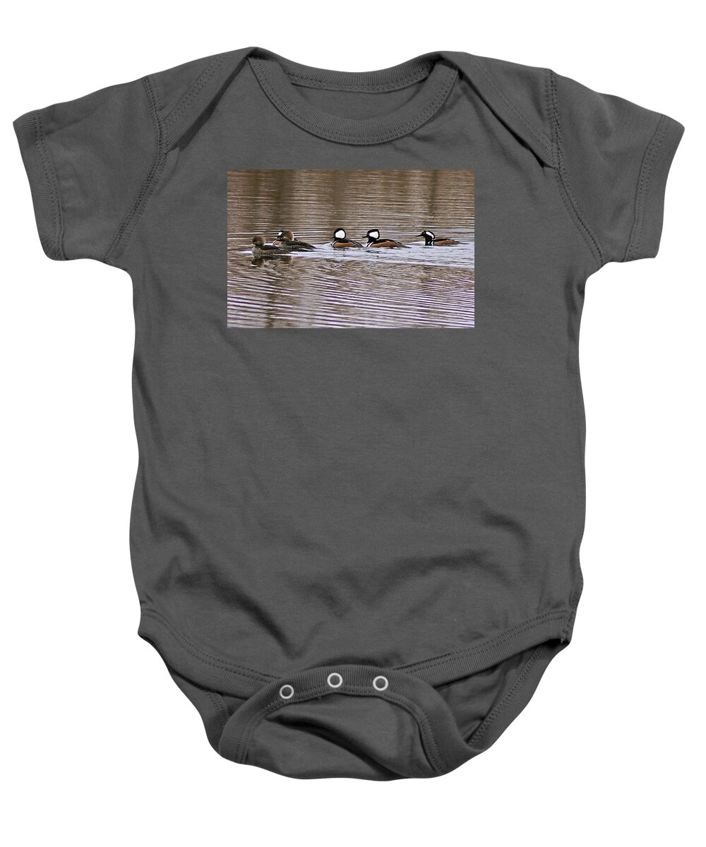 Hooded Baby Onesie featuring the photograph Hooded Mergansers IV by Joe Faherty