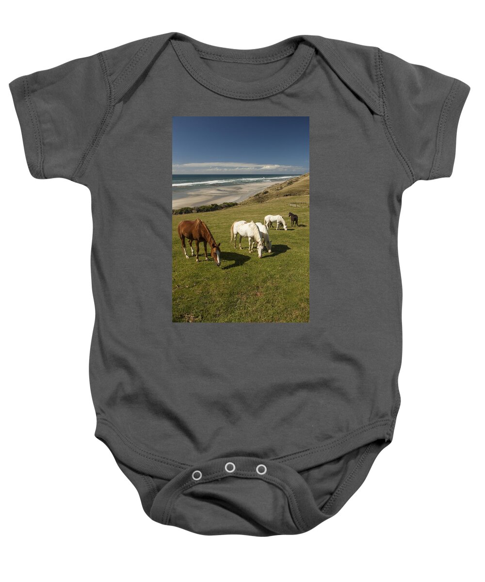 535895 Baby Onesie featuring the photograph Horse Herd Grazing Golden Bay New by Colin Monteath
