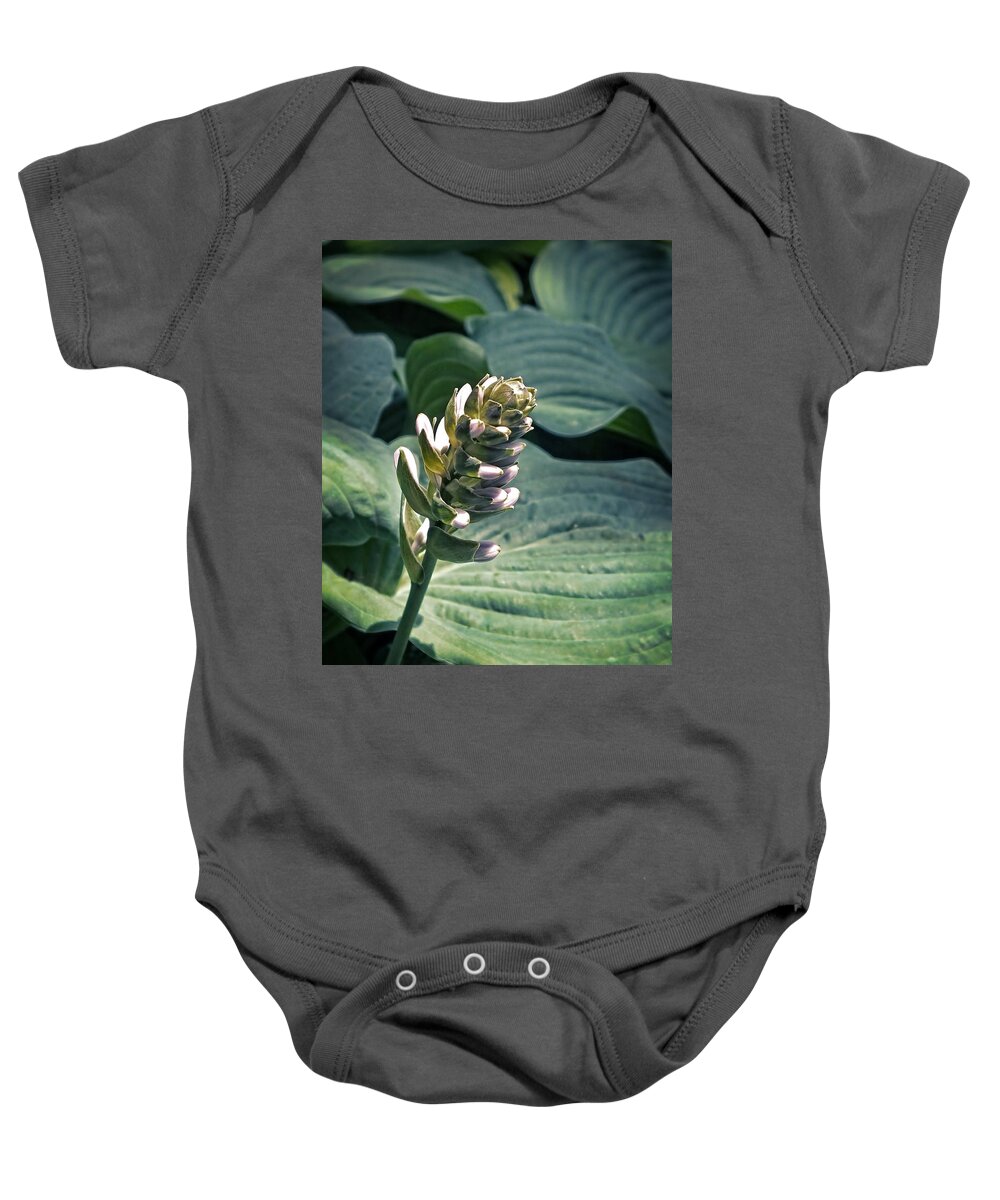 Arboretum Baby Onesie featuring the photograph Hosta Party by Lucinda Walter