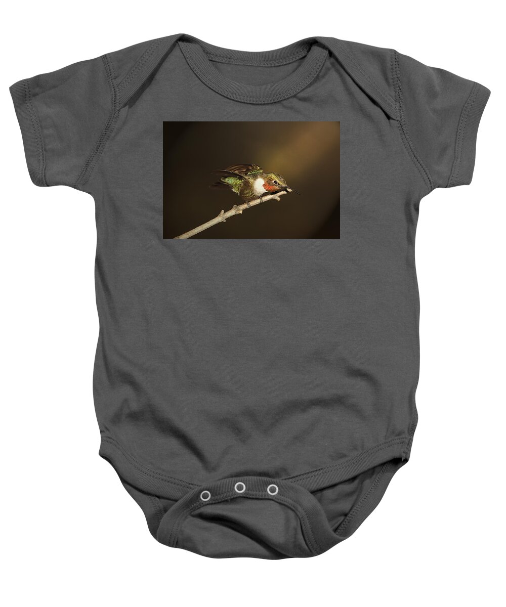  Hummingbird Baby Onesie featuring the photograph Hummer In The Spotlight by Randall Branham