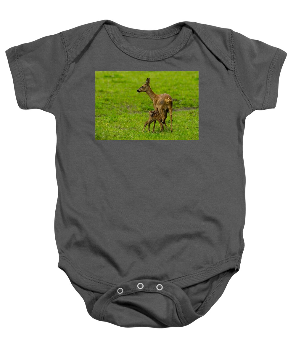 Hungry Roe Deer Fawn Baby Onesie featuring the photograph Hungry by Torbjorn Swenelius