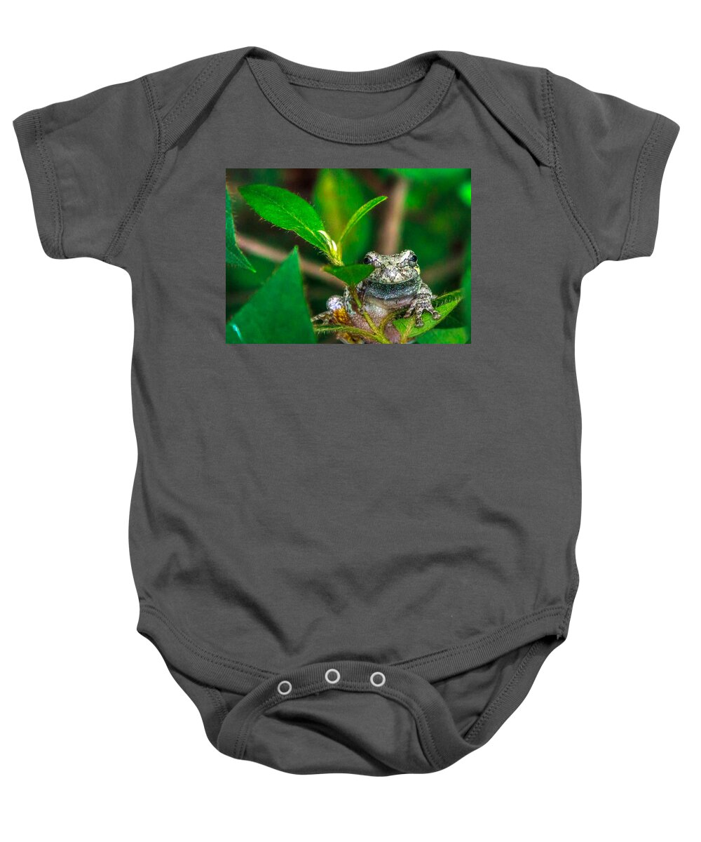 Frog Baby Onesie featuring the photograph Hyla versicolor by Traveler's Pics
