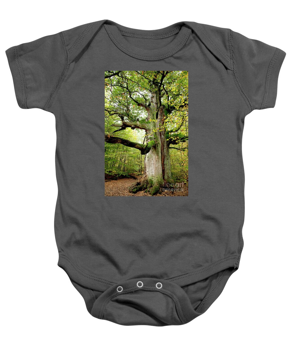 Oak Baby Onesie featuring the photograph I am nearly 1000 years old by Heiko Koehrer-Wagner