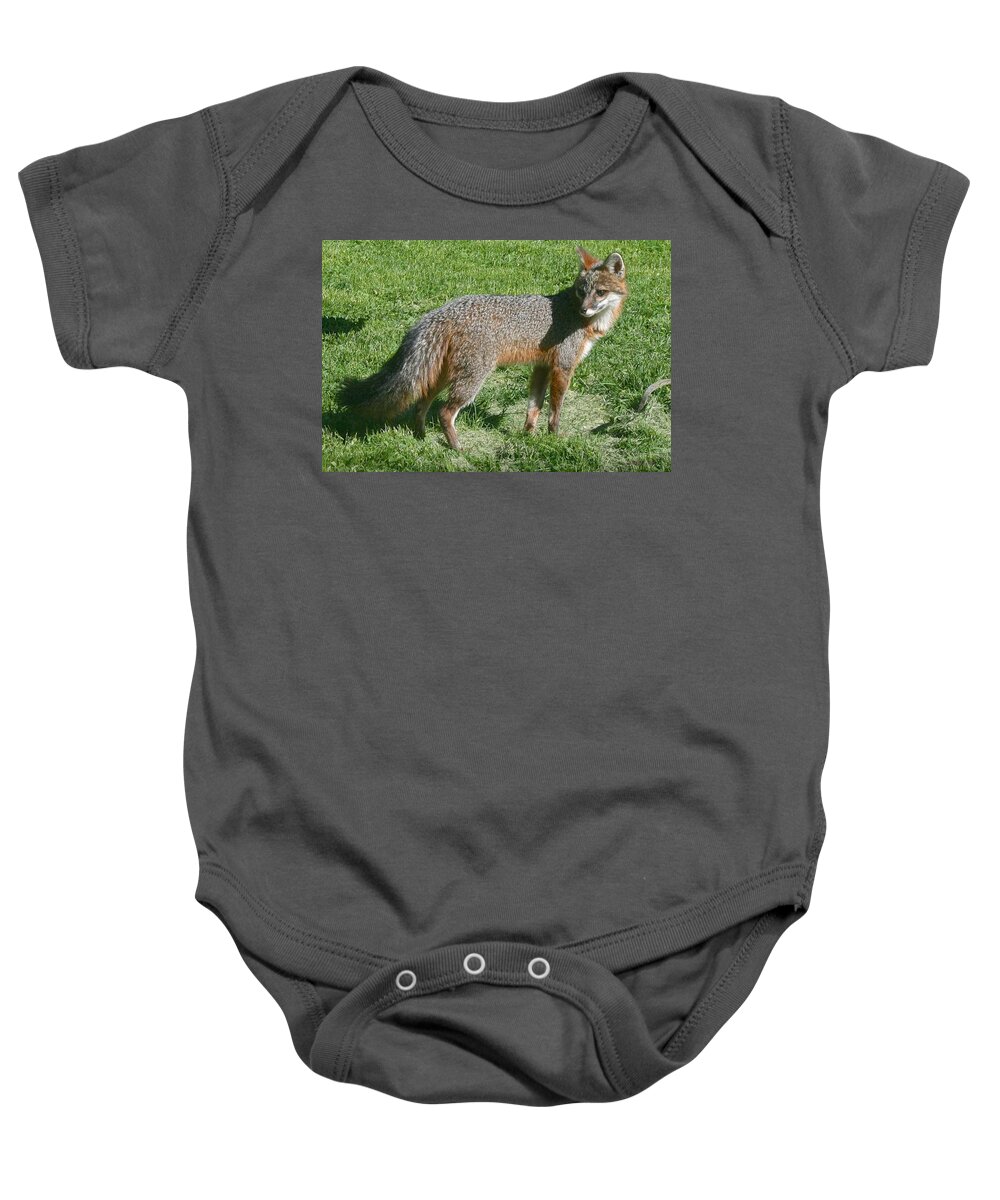 Fox Baby Onesie featuring the photograph I Am Watching My Back by Kristin Hatt