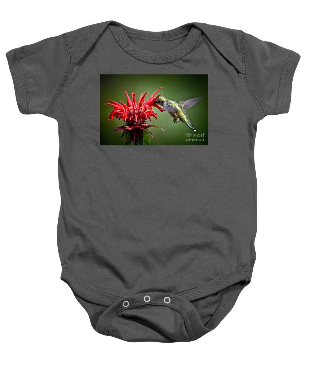 Ruby-throated Hummingbird Baby Onesie featuring the photograph Immersed by Cheryl Baxter